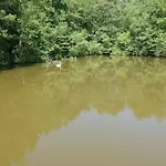 Le Bateau Sur Prive De 2 Hectares Poissonneux Au Milieu Des Bois Botel