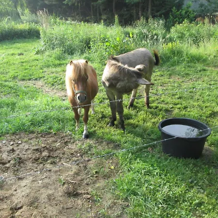 ספינת מלון Le Bateau Sur Prive De 2 Hectares Poissonneux Au Milieu Des Bois Florennes