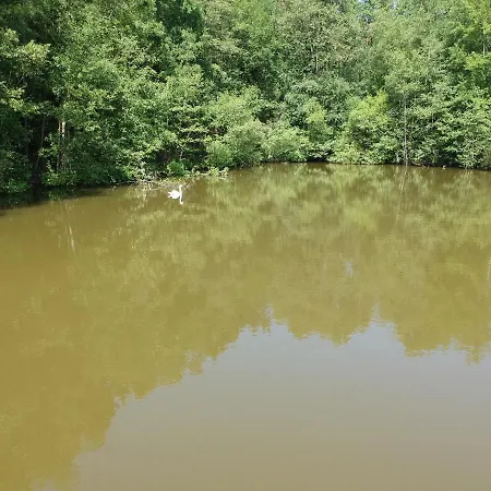 Le Bateau Sur Privé De 2 Hectares Poissonneux Au Milieu Des Bois Hotel en barco